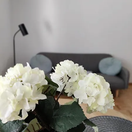 Niinivaara Saunallinen Ja Ilmastoitu Apartament *