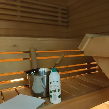 Niinivaara Saunallinen Ja Ilmastoitu Joensuu