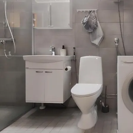 Niinivaara Saunallinen Ja Ilmastoitu Majoitus Apartment *