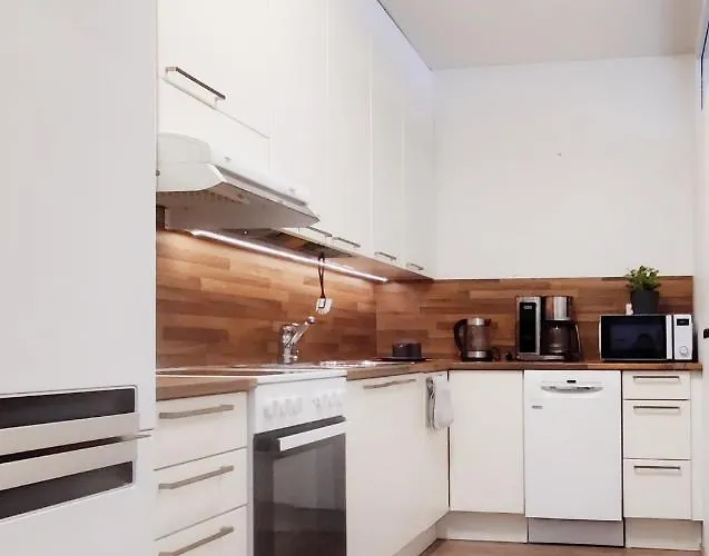 Niinivaara Saunallinen Ja Ilmastoitu * 约恩苏