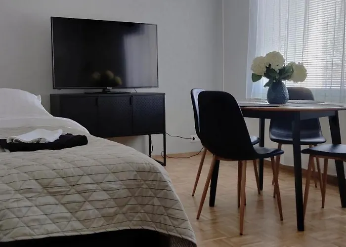 Niinivaara Saunallinen Ja Ilmastoitu *