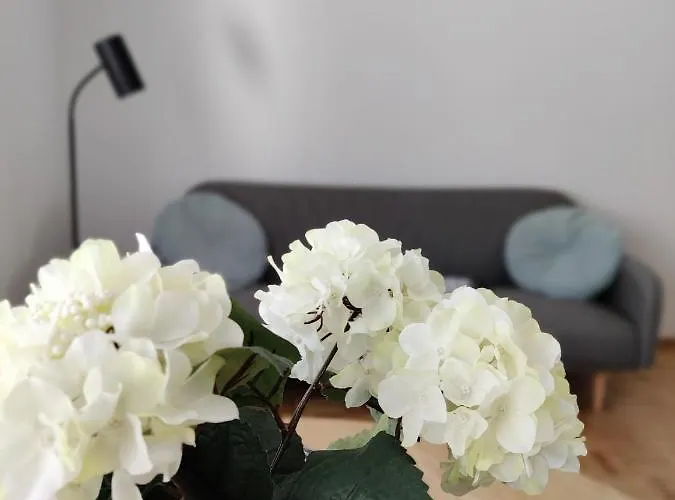 Niinivaara Saunallinen Ja Ilmastoitu 公寓 *